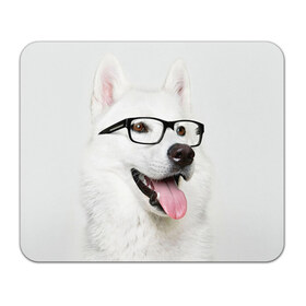 Коврик прямоугольный с принтом Собака в очках в Тюмени, натуральный каучук | размер 230 х 185 мм; запечатка лицевой стороны | домашнее | животное | очки | пес | прикол | собака в очках | умный | ученый