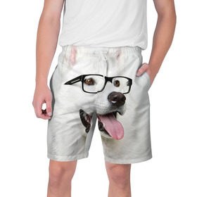 Мужские шорты 3D с принтом Собака в очках в Тюмени,  полиэстер 100% | прямой крой, два кармана без застежек по бокам. Мягкая трикотажная резинка на поясе, внутри которой широкие завязки. Длина чуть выше колен | домашнее | животное | очки | пес | прикол | собака в очках | умный | ученый