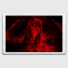 Магнит 45*70 с принтом Дракон в Тюмени, Пластик | Размер: 78*52 мм; Размер печати: 70*45 | Тематика изображения на принте: dragon | дракон
