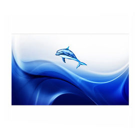 Бумага для упаковки 3D с принтом Дельфин в Тюмени, пластик и полированная сталь | круглая форма, металлическое крепление в виде кольца | Тематика изображения на принте: дельфин | море | рыбка