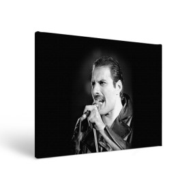Холст прямоугольный с принтом Фредди Меркьюри в Тюмени, 100% ПВХ |  | Тематика изображения на принте: freddie mercury | queen. | автор песен | британский | вокалист | певец | рок группа | фредди меркьюри