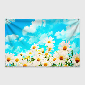 Флаг-баннер с принтом Ромашки в Тюмени, 100% полиэстер | размер 67 х 109 см, плотность ткани — 95 г/м2; по краям флага есть четыре люверса для крепления | весна | лето