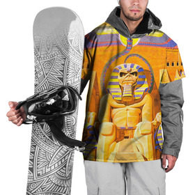 Накидка на куртку 3D с принтом Iron maiden 3 в Тюмени, 100% полиэстер |  | Тематика изображения на принте: айран мейден | айран мэйден | айрон мейден | айрон мэйден | айрон мэйдэн | байк