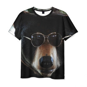 Мужская футболка 3D с принтом Медведь в очках в Тюмени, 100% полиэфир | прямой крой, круглый вырез горловины, длина до линии бедер | животное | медведь | новая | очки | природа | стильная