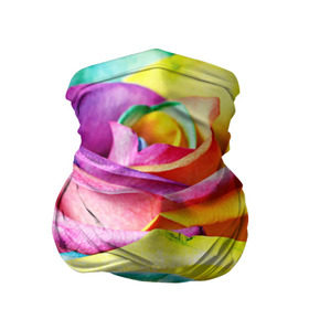 Бандана-труба 3D с принтом Радужная роза в Тюмени, 100% полиэстер, ткань с особыми свойствами — Activecool | плотность 150‒180 г/м2; хорошо тянется, но сохраняет форму | бутон | лепестки | радуга | радужная роза | спектр | цвет | цветные | яркий