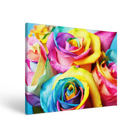 Холст прямоугольный с принтом Радужная роза в Тюмени, 100% ПВХ |  | Тематика изображения на принте: бутон | лепестки | радуга | радужная роза | спектр | цвет | цветные | яркий