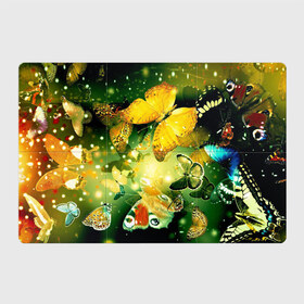 Магнитный плакат 3Х2 с принтом Бабочки в Тюмени, Полимерный материал с магнитным слоем | 6 деталей размером 9*9 см | Тематика изображения на принте: разноцветный | яркие