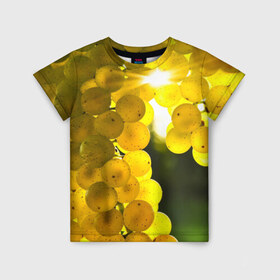 Детская футболка 3D с принтом Виноград в Тюмени, 100% гипоаллергенный полиэфир | прямой крой, круглый вырез горловины, длина до линии бедер, чуть спущенное плечо, ткань немного тянется | виноград | виноградник | лоза | лучи | солнце | ягоды