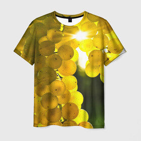 Мужская футболка 3D с принтом Виноград в Тюмени, 100% полиэфир | прямой крой, круглый вырез горловины, длина до линии бедер | виноград | виноградник | лоза | лучи | солнце | ягоды