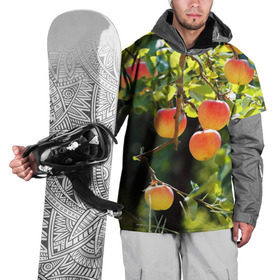 Накидка на куртку 3D с принтом Яблоки в Тюмени, 100% полиэстер |  | Тематика изображения на принте: дерево | зелень | красные | сад