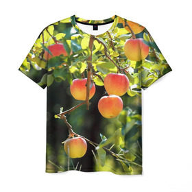 Мужская футболка 3D с принтом Яблоки в Тюмени, 100% полиэфир | прямой крой, круглый вырез горловины, длина до линии бедер | дерево | зелень | красные | сад