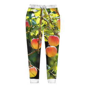 Женские брюки 3D с принтом Яблоки в Тюмени, полиэстер 100% | прямой крой, два кармана без застежек по бокам, с мягкой трикотажной резинкой на поясе и по низу штанин. В поясе для дополнительного комфорта — широкие завязки | дерево | зелень | красные | сад
