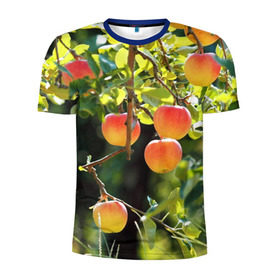 Мужская футболка 3D спортивная с принтом Яблоки в Тюмени, 100% полиэстер с улучшенными характеристиками | приталенный силуэт, круглая горловина, широкие плечи, сужается к линии бедра | дерево | зелень | красные | сад