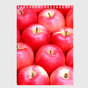 Скетчбук с принтом Яблоки в Тюмени, 100% бумага
 | 48 листов, плотность листов — 100 г/м2, плотность картонной обложки — 250 г/м2. Листы скреплены сверху удобной пружинной спиралью | Тематика изображения на принте: красные | плоды | уражай | фрукты | яблоки