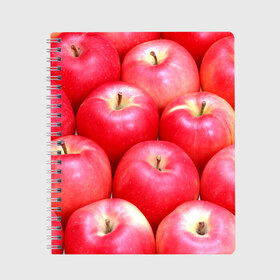 Тетрадь с принтом Яблоки в Тюмени, 100% бумага | 48 листов, плотность листов — 60 г/м2, плотность картонной обложки — 250 г/м2. Листы скреплены сбоку удобной пружинной спиралью. Уголки страниц и обложки скругленные. Цвет линий — светло-серый
 | красные | плоды | уражай | фрукты | яблоки