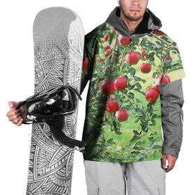 Накидка на куртку 3D с принтом Яблоки в Тюмени, 100% полиэстер |  | Тематика изображения на принте: дерево | зелень | красные | сад | яблоки