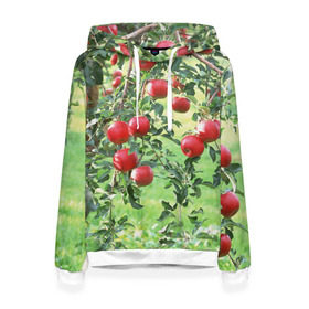 Женская толстовка 3D с принтом Яблоки в Тюмени, 100% полиэстер  | двухслойный капюшон со шнурком для регулировки, мягкие манжеты на рукавах и по низу толстовки, спереди карман-кенгуру с мягким внутренним слоем. | дерево | зелень | красные | сад | яблоки