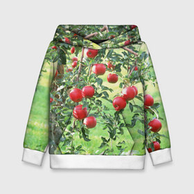 Детская толстовка 3D с принтом Яблоки в Тюмени, 100% полиэстер | двухслойный капюшон со шнурком для регулировки, мягкие манжеты на рукавах и по низу толстовки, спереди карман-кенгуру с мягким внутренним слоем | дерево | зелень | красные | сад | яблоки