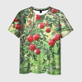 Мужская футболка 3D с принтом Яблоки в Тюмени, 100% полиэфир | прямой крой, круглый вырез горловины, длина до линии бедер | дерево | зелень | красные | сад | яблоки