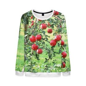 Мужской свитшот 3D с принтом Яблоки в Тюмени, 100% полиэстер с мягким внутренним слоем | круглый вырез горловины, мягкая резинка на манжетах и поясе, свободная посадка по фигуре | дерево | зелень | красные | сад | яблоки
