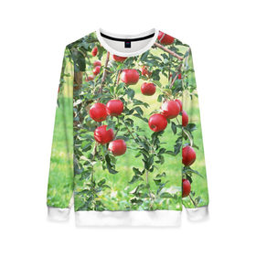 Женский свитшот 3D с принтом Яблоки в Тюмени, 100% полиэстер с мягким внутренним слоем | круглый вырез горловины, мягкая резинка на манжетах и поясе, свободная посадка по фигуре | дерево | зелень | красные | сад | яблоки