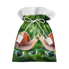 Подарочный 3D мешок с принтом Улитки в Тюмени, 100% полиэстер | Размер: 29*39 см | Тематика изображения на принте: зеленая | любовь | природа | улитка