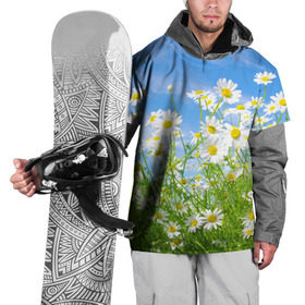 Накидка на куртку 3D с принтом Ромашки в Тюмени, 100% полиэстер |  | Тематика изображения на принте: луг | цветы