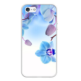Чехол для iPhone 5/5S матовый с принтом Голубая орхидея в Тюмени, Силикон | Область печати: задняя сторона чехла, без боковых панелей | голубая орхидея | красота | орхидеи | природа | цветок | цветочек | цветы