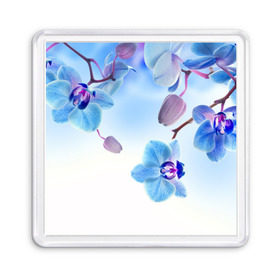 Магнит 55*55 с принтом Голубая орхидея в Тюмени, Пластик | Размер: 65*65 мм; Размер печати: 55*55 мм | Тематика изображения на принте: голубая орхидея | красота | орхидеи | природа | цветок | цветочек | цветы