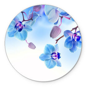 Коврик круглый с принтом Голубая орхидея в Тюмени, резина и полиэстер | круглая форма, изображение наносится на всю лицевую часть | голубая орхидея | красота | орхидеи | природа | цветок | цветочек | цветы