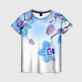 Женская футболка 3D с принтом Голубая орхидея в Тюмени, 100% полиэфир ( синтетическое хлопкоподобное полотно) | прямой крой, круглый вырез горловины, длина до линии бедер | голубая орхидея | красота | орхидеи | природа | цветок | цветочек | цветы