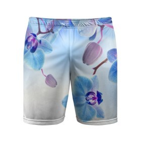 Мужские шорты 3D спортивные с принтом Голубая орхидея в Тюмени,  |  | Тематика изображения на принте: голубая орхидея | красота | орхидеи | природа | цветок | цветочек | цветы