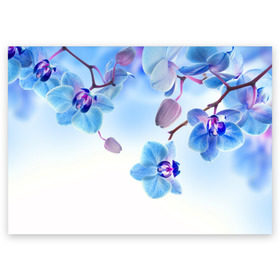 Поздравительная открытка с принтом Голубая орхидея в Тюмени, 100% бумага | плотность бумаги 280 г/м2, матовая, на обратной стороне линовка и место для марки
 | голубая орхидея | красота | орхидеи | природа | цветок | цветочек | цветы