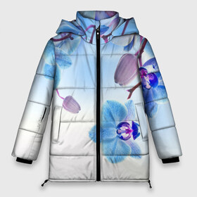 Женская зимняя куртка 3D с принтом Голубая орхидея в Тюмени, верх — 100% полиэстер; подкладка — 100% полиэстер; утеплитель — 100% полиэстер | длина ниже бедра, силуэт Оверсайз. Есть воротник-стойка, отстегивающийся капюшон и ветрозащитная планка. 

Боковые карманы с листочкой на кнопках и внутренний карман на молнии | голубая орхидея | красота | орхидеи | природа | цветок | цветочек | цветы