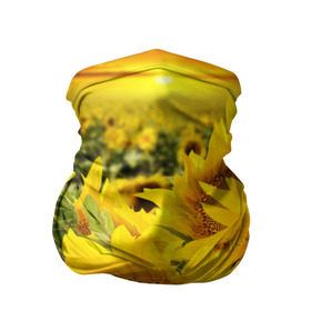 Бандана-труба 3D с принтом Подсолнухи в Тюмени, 100% полиэстер, ткань с особыми свойствами — Activecool | плотность 150‒180 г/м2; хорошо тянется, но сохраняет форму | желтый | солнце | цветок | яркий
