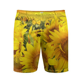 Мужские шорты 3D спортивные с принтом Подсолнухи в Тюмени,  |  | желтый | солнце | цветок | яркий