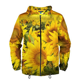 Мужская ветровка 3D с принтом Подсолнухи в Тюмени, 100% полиэстер | подол и капюшон оформлены резинкой с фиксаторами, два кармана без застежек по бокам, один потайной карман на груди | желтый | солнце | цветок | яркий