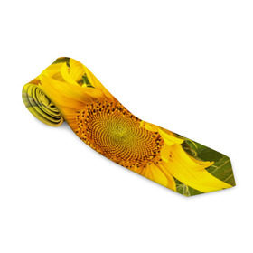 Галстук 3D с принтом Подсолнухи в Тюмени, 100% полиэстер | Длина 148 см; Плотность 150-180 г/м2 | желтый | солнце | цветок | яркий