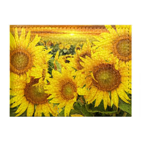 Обложка для студенческого билета с принтом Подсолнухи в Тюмени, натуральная кожа | Размер: 11*8 см; Печать на всей внешней стороне | желтый | солнце | цветок | яркий