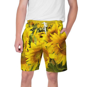 Мужские шорты 3D с принтом Подсолнухи в Тюмени,  полиэстер 100% | прямой крой, два кармана без застежек по бокам. Мягкая трикотажная резинка на поясе, внутри которой широкие завязки. Длина чуть выше колен | желтый | солнце | цветок | яркий