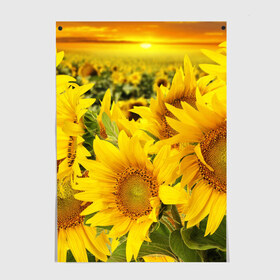 Постер с принтом Подсолнухи в Тюмени, 100% бумага
 | бумага, плотность 150 мг. Матовая, но за счет высокого коэффициента гладкости имеет небольшой блеск и дает на свету блики, но в отличии от глянцевой бумаги не покрыта лаком | желтый | солнце | цветок | яркий