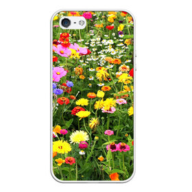 Чехол для iPhone 5/5S матовый с принтом Полевые цветы 1 в Тюмени, Силикон | Область печати: задняя сторона чехла, без боковых панелей | поле | полевые цветы | цветы