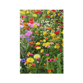 Обложка для паспорта матовая кожа с принтом Полевые цветы 1 в Тюмени, натуральная матовая кожа | размер 19,3 х 13,7 см; прозрачные пластиковые крепления | Тематика изображения на принте: поле | полевые цветы | цветы