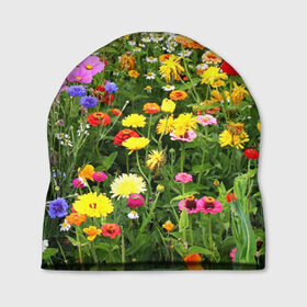 Шапка 3D с принтом Полевые цветы 1 в Тюмени, 100% полиэстер | универсальный размер, печать по всей поверхности изделия | поле | полевые цветы | цветы