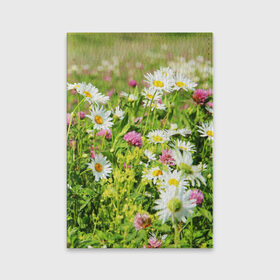 Обложка для паспорта матовая кожа с принтом Полевые цветы 3 в Тюмени, натуральная матовая кожа | размер 19,3 х 13,7 см; прозрачные пластиковые крепления | поле | полевые цветы | цветы