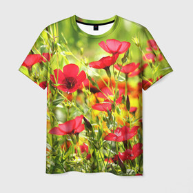Мужская футболка 3D с принтом Полевые цветы 5 в Тюмени, 100% полиэфир | прямой крой, круглый вырез горловины, длина до линии бедер | поле | полевые цветы | цветы