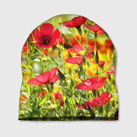 Шапка 3D с принтом Полевые цветы 5 в Тюмени, 100% полиэстер | универсальный размер, печать по всей поверхности изделия | поле | полевые цветы | цветы