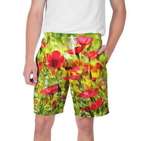 Мужские шорты 3D с принтом Полевые цветы 5 в Тюмени,  полиэстер 100% | прямой крой, два кармана без застежек по бокам. Мягкая трикотажная резинка на поясе, внутри которой широкие завязки. Длина чуть выше колен | поле | полевые цветы | цветы