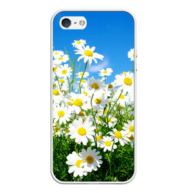 Чехол для iPhone 5/5S матовый с принтом Полевые цветы 7 в Тюмени, Силикон | Область печати: задняя сторона чехла, без боковых панелей | поле | полевые цветы | цветы