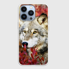 Чехол для iPhone 13 Pro с принтом Волк в Тюмени,  |  | волк | хищник